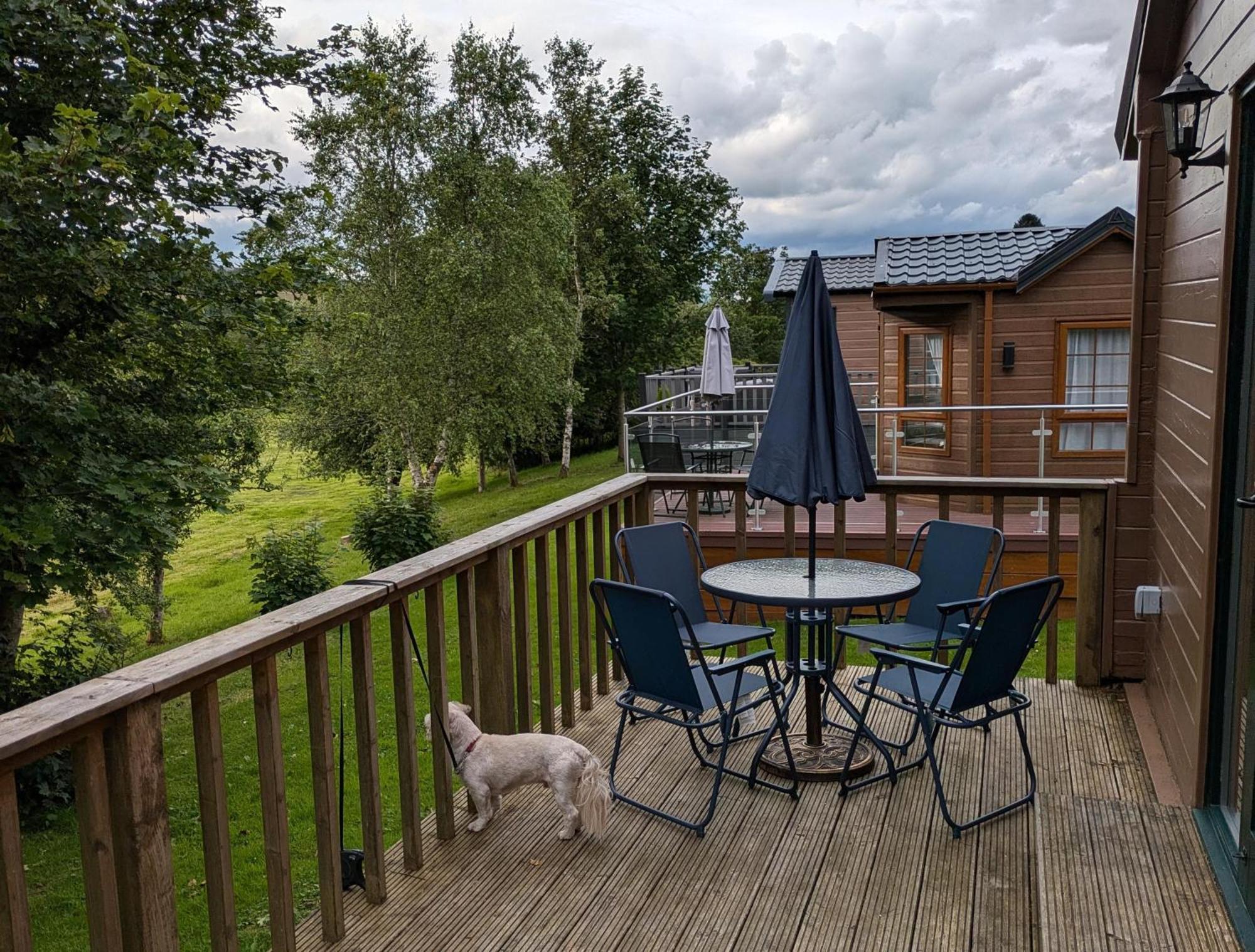 Rustic Lodge Retreat At Riverview Holiday Park Newcastleton المظهر الخارجي الصورة