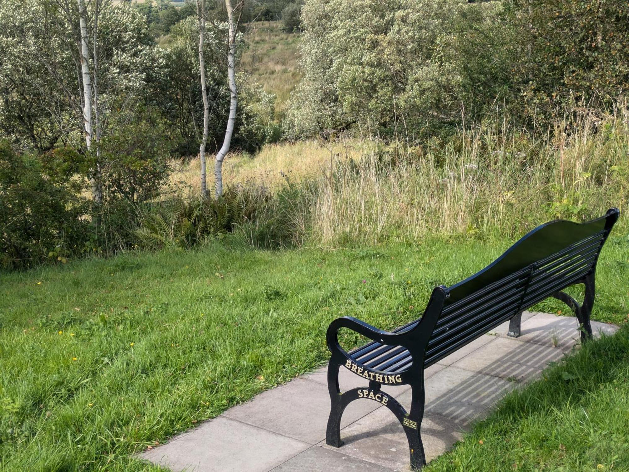 Rustic Lodge Retreat At Riverview Holiday Park Newcastleton المظهر الخارجي الصورة